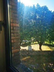 Appartements Les sources / chez Lea : photos des chambres