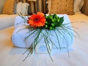 Villa T7 - Selborne Golf Estate