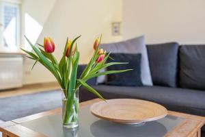 Ferienwohnung Bolanz