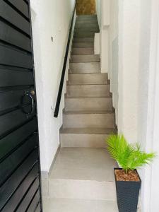 Studio Aconchegante na Zona Norte de São Paulo