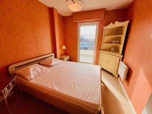 Quiberon: Charmant T3 avec terrasse, 20m de la plage, parking, animaux acceptés - FR-1-478-29