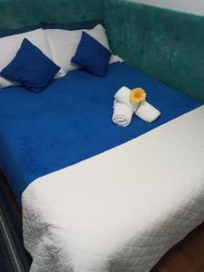 Hospedagem Vida e Natureza