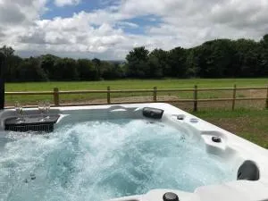 Dryslwyn Aberporth - Rhyd Lewis