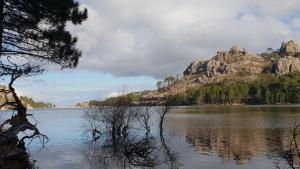 B&B / Chambres d'hotes A VIGNA VECCHIA chambre d'hotes : photos des chambres