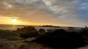 B&B / Chambres d'hotes A VIGNA VECCHIA chambre d'hotes : photos des chambres