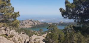 B&B / Chambres d'hotes A VIGNA VECCHIA chambre d'hotes : photos des chambres