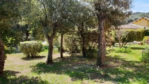 B&B / Chambres d'hotes A VIGNA VECCHIA chambre d'hotes : photos des chambres