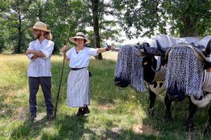 Maisons de vacances Gte tout confort - Luglon - Landes : photos des chambres