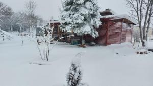 Vacation house near a creek in Zadar countyLika