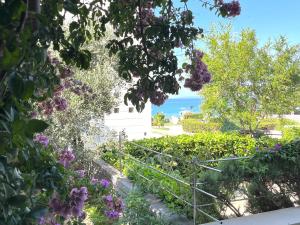 Corallis Beachfront Family Oasis