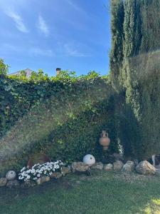 Heaven at the shore: El Cielito.