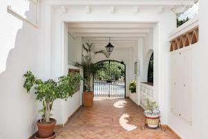 Heaven at the shore: El Cielito.