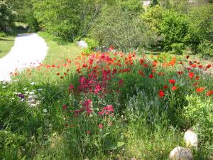 B&B / Chambres d'hotes Le Moulinage : photos des chambres