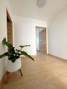 Baan Samurai Suan Buak Haad Old City