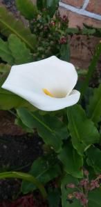 El Encanto De La Villa Campestre