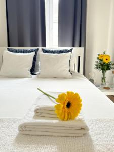 Cozy room with privative bathroom on Rua Augusta