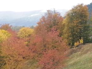 Appartements Un coin de montagne : photos des chambres