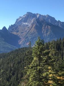 Ferienwohnungen Marianne Hölzl