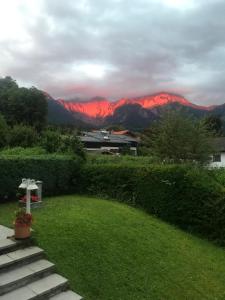 Ferienwohnungen Marianne Hölzl