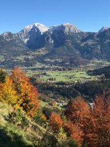 Ferienwohnungen Marianne Hölzl