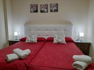 Comfort Double or Twin Room room in Hostal San Roque