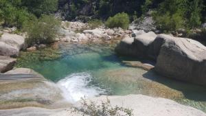 B&B / Chambres d'hotes A VIGNA VECCHIA chambre d'hotes : photos des chambres