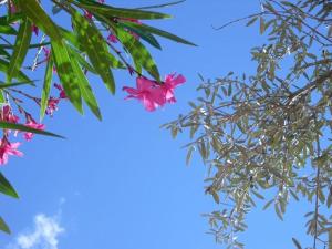 Appartements beautiful holiday home 2 near the beach : photos des chambres