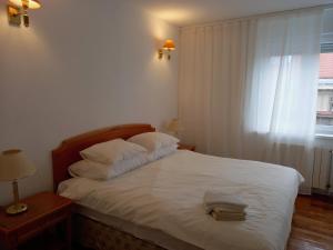Apartments with WiFi Zagreb - 22385