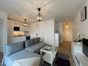 Apartment near to Paris CDG