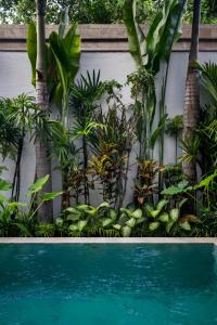 Villa Sessun by Alfred in Bali