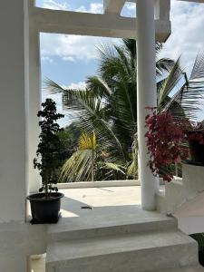 Villa Calton 32 Villa in Weligama Bay