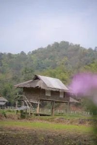 Elephant Garden Hug - Ban Chang