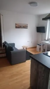 Fridolin - Eichenbühl