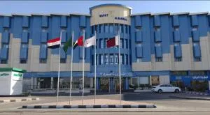 فندق وردة الصحراء - 阿尔阿尔