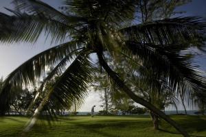 Coastal Road, 41601, Mauritius.