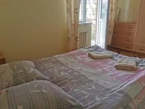 Petrovskaya Pristan apt - Chon-Sary-Oy