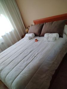 Tu piso en el Camino de Santiago