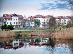 Forest&Love - Neptun Park