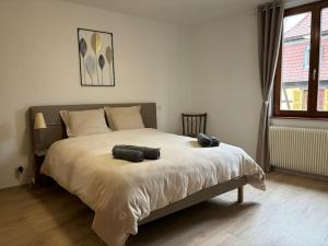Maisons de vacances Gite de la Fontaine Charmante maison au coeur de Beblenheim - Route des vins : photos des chambres