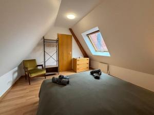 Maisons de vacances Gite de la Fontaine Charmante maison au coeur de Beblenheim - Route des vins : photos des chambres