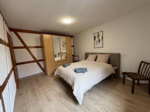 Maisons de vacances Gite de la Fontaine Charmante maison au coeur de Beblenheim - Route des vins : photos des chambres