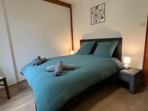 Maisons de vacances Gite de la Fontaine Charmante maison au coeur de Beblenheim - Route des vins : photos des chambres