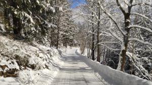 Apartmán Berg Brčálník