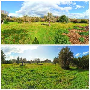 Farmhouse with pool minutes from beach
