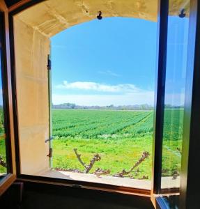 Villas Mas le Clos de Teillan 14 couchages espace bien-etre : photos des chambres