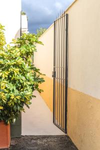 Apartment mit Terrasse