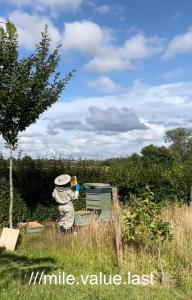 Ty Odyn. Best of Both Worlds. Rural yet Connected.