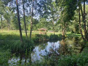 Maisons d'hotes Chalet au coeur de la nature : photos des chambres