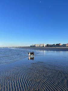 Appartement F2 meublé