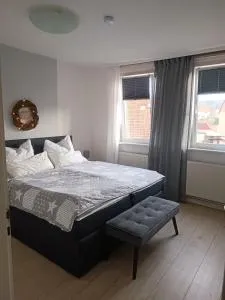 Ferienwohnung Pusteblume in Wolfshagen im Harz - Wolfshagen